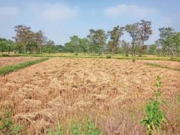 download - 2024-12-14T110920.864