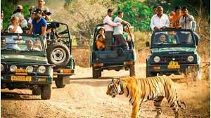 download - 2024-12-30T130053.445