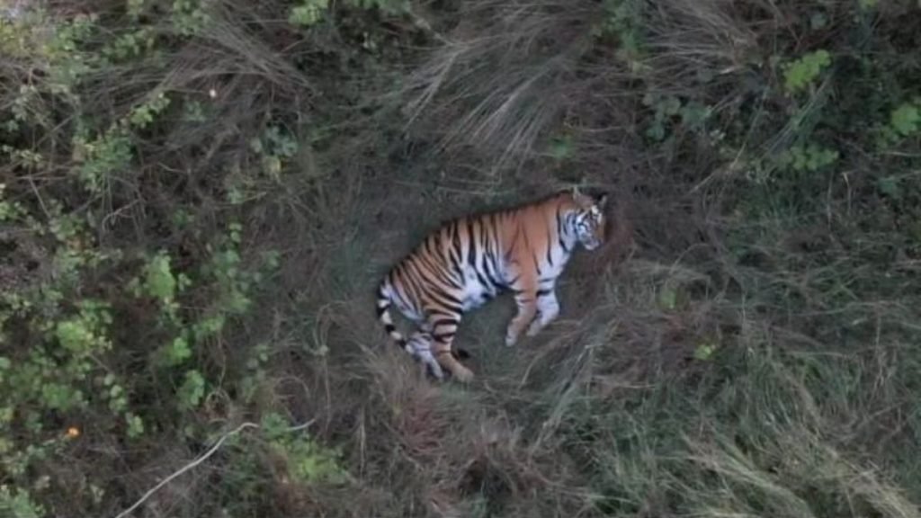 image-19-1-1-1024x576