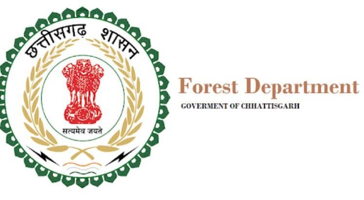 20230912193851_cgforest