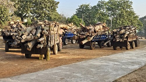 20250101105602_News No. 805 Photo (2)