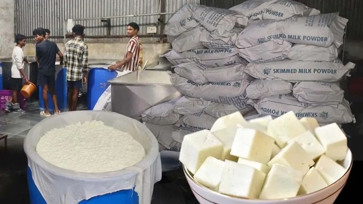 20250101112719_panir