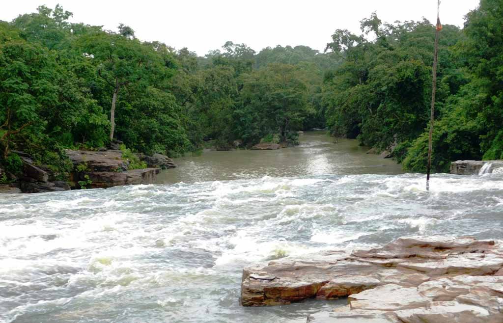 20250103173109_Narhara (1)