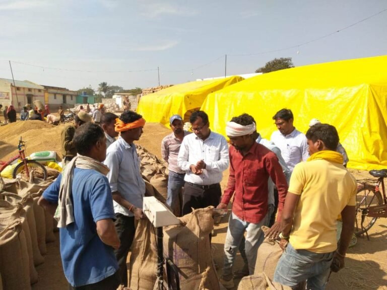 20250107151148_dhaan mandi