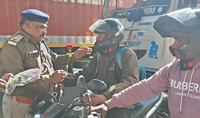 4277137-untitled-31-copy