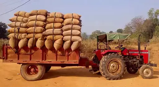 4286958-untitled-24-copy