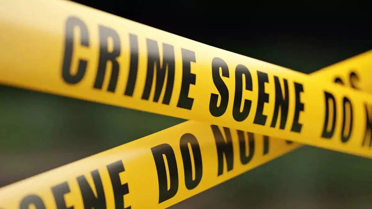 4290276-untitled-37-copy