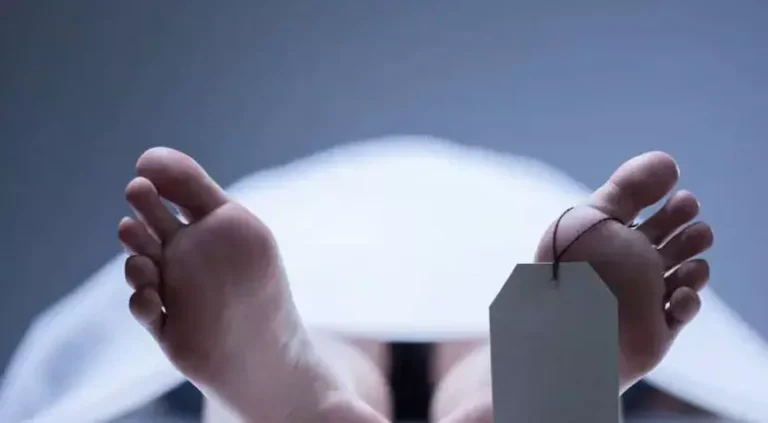 4301004-untitled-51-copy