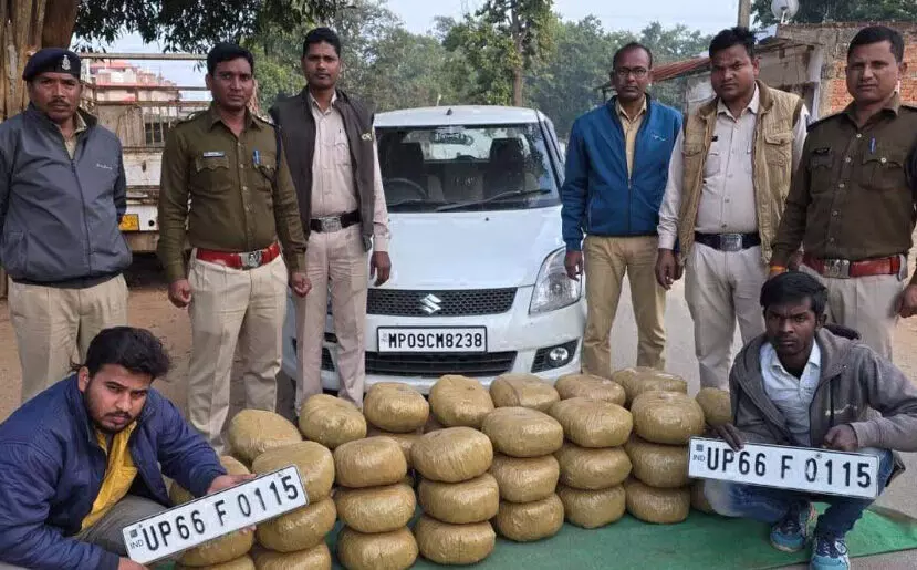 4305889-untitled-35-copy