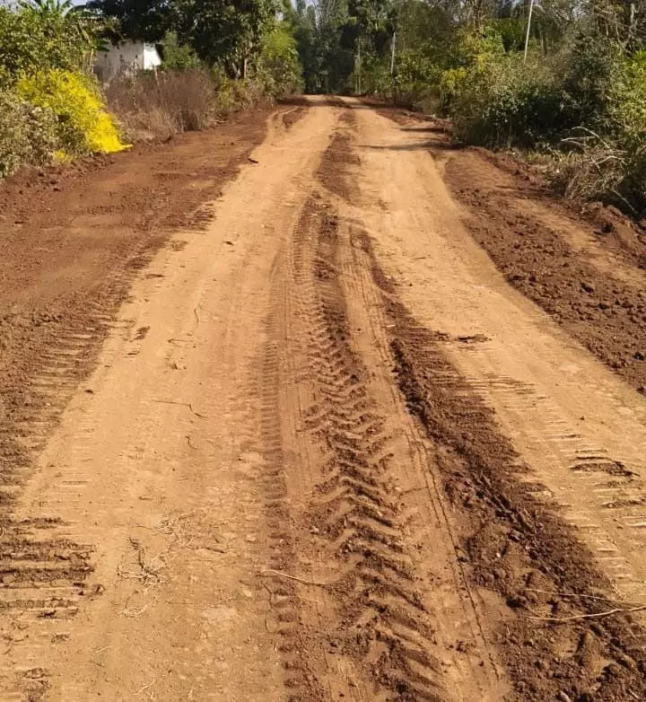 4312039-untitled-62-copy