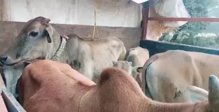 4321949-untitled-37-copy