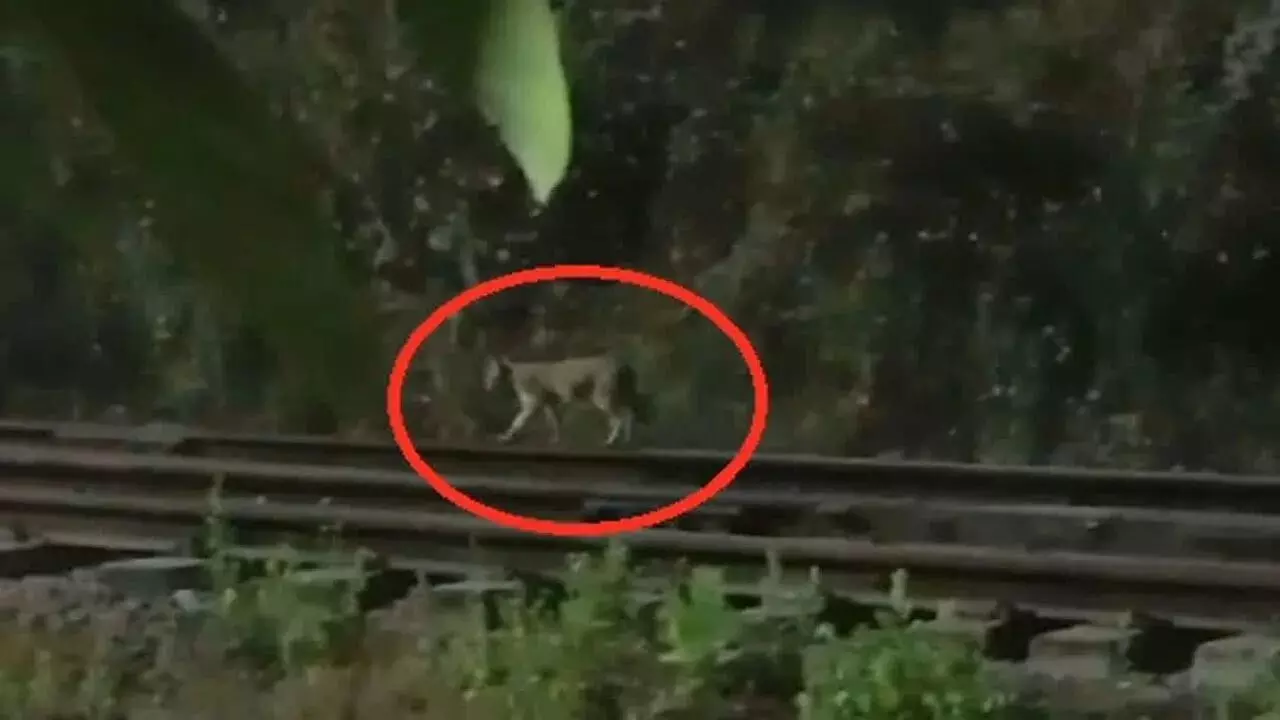 4345730-untitled-10-copy