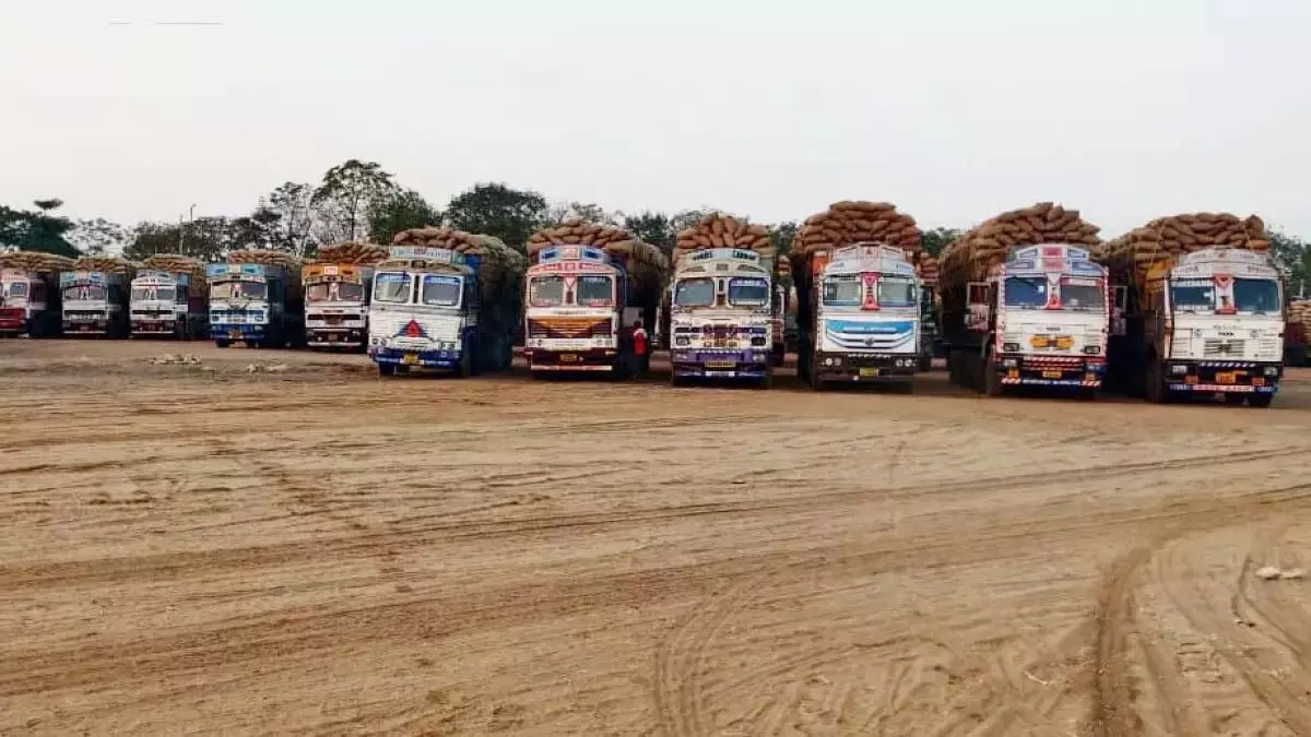 4345800-untitled-12-copy