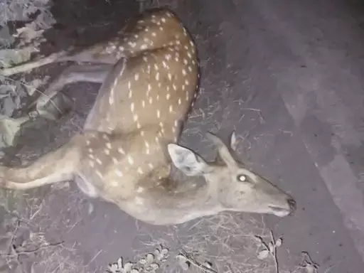 4349229-untitled-37-copy