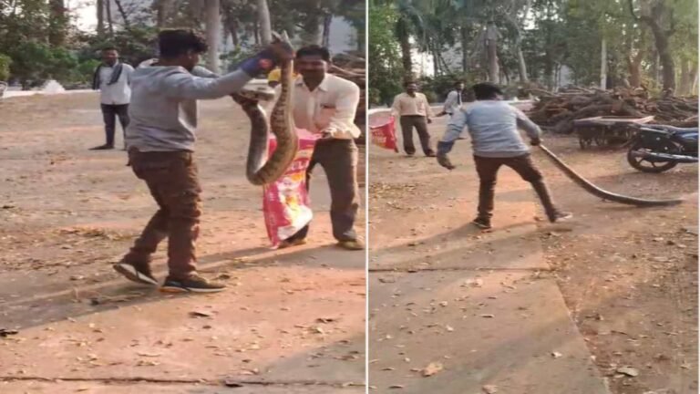 BeFunky-design-12-1-4