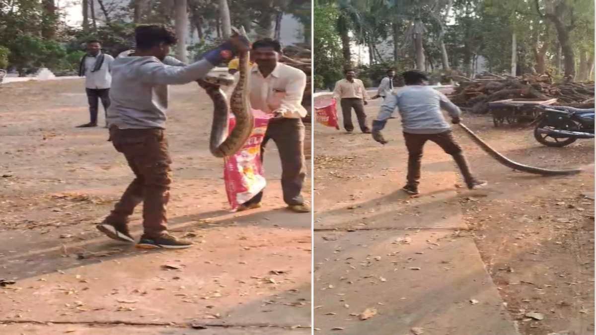 BeFunky-design-12-1-4