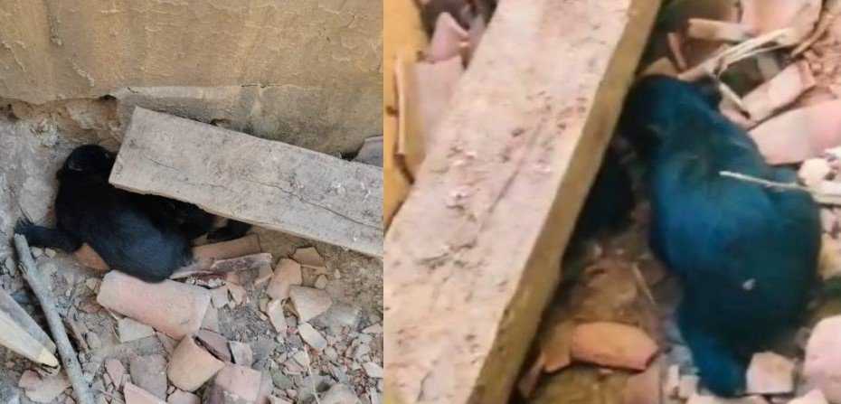 BeFunky-design-42-1024x576