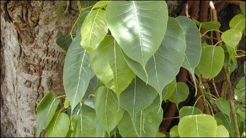 20250207082523_health2