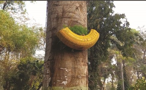 20250211105614_jugaad