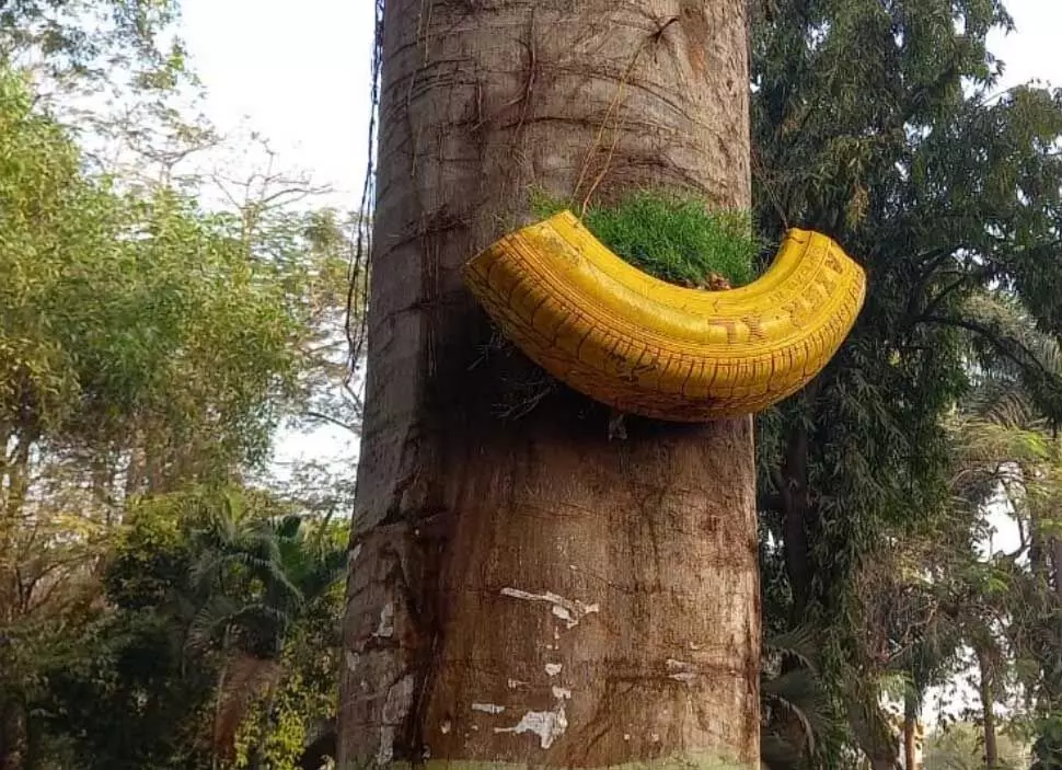 4376281-untitled-45-copy