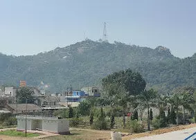 4398844-untitled-31-copy