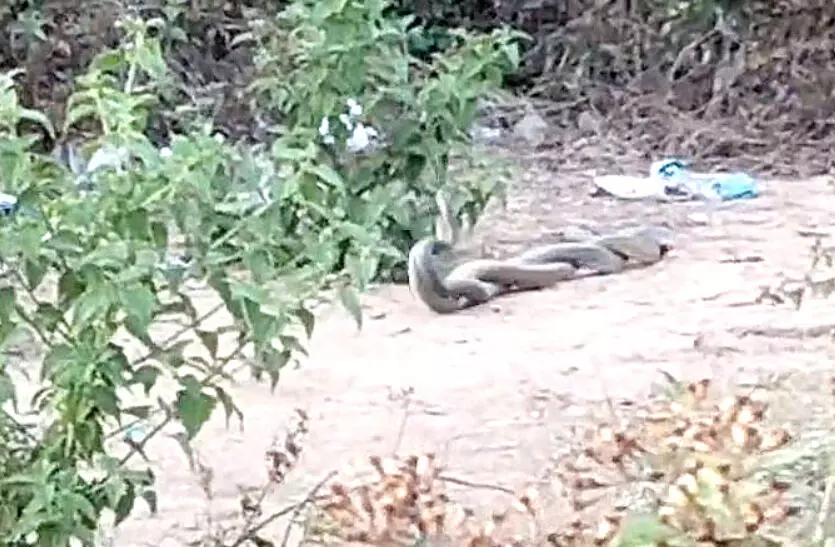 4431843-untitled-35-copy (1)