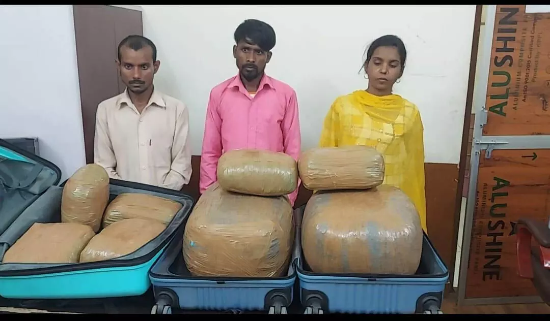 4472830-untitled-57-copy