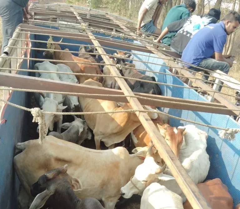 4479755-untitled-33-copy