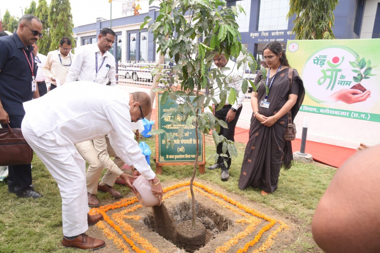 1743699924_2229bada170f89f11553