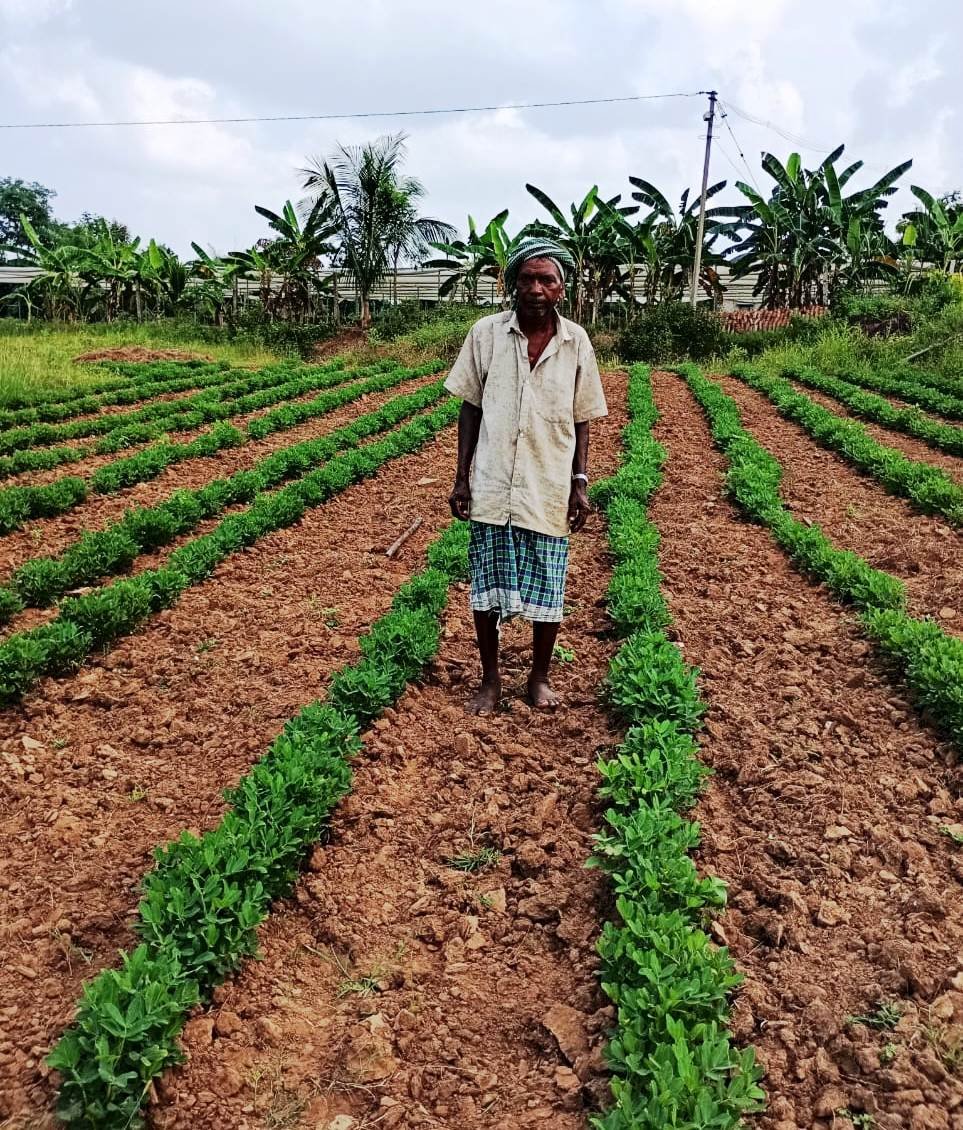 1744898966_07ec9bbf59501488c511