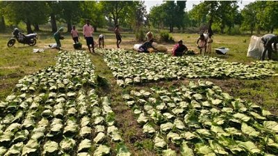 20250429100148_rrrrrrrrrrrrr1