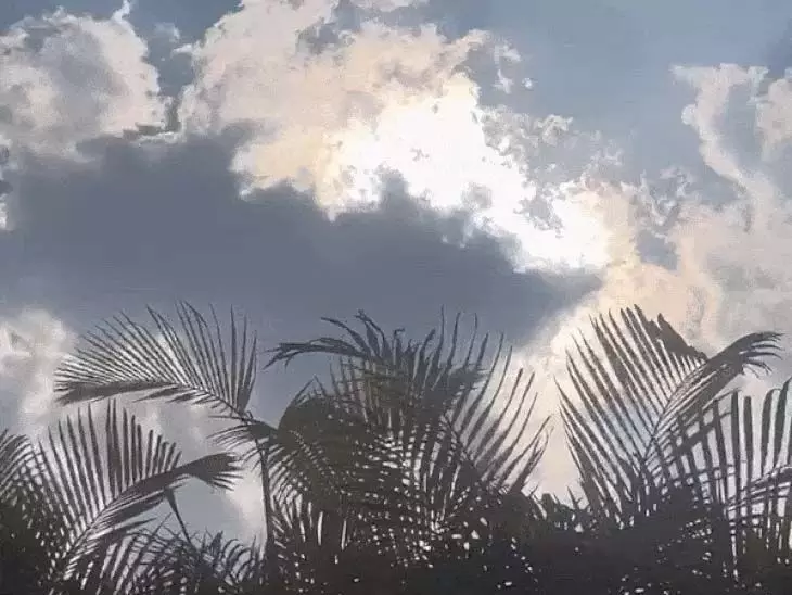 4491581-untitled-17-copy