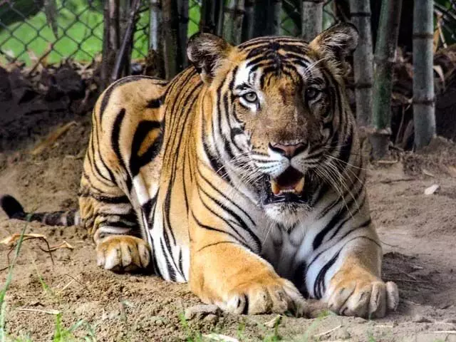 4519340-untitled-37-copy