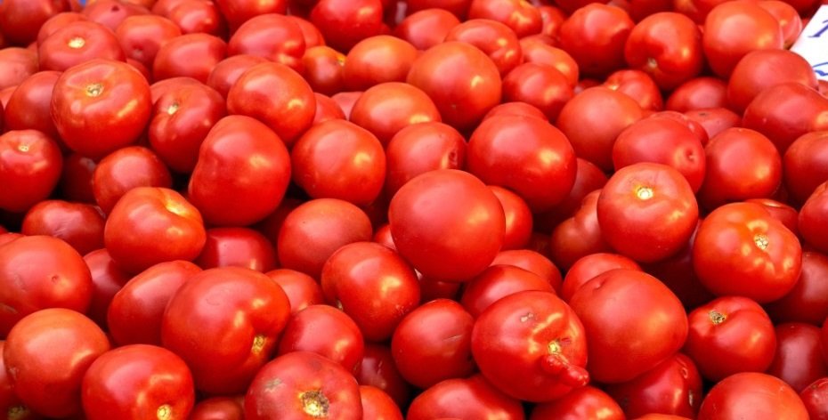 20250524145554_tamatar