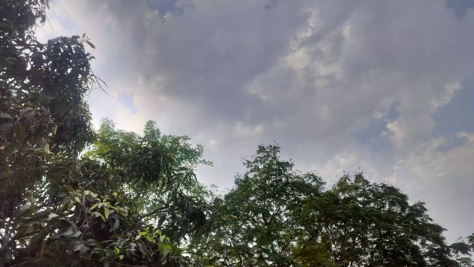 4567094-untitled-7-copy