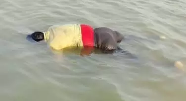 4567551-untitled-18-copy