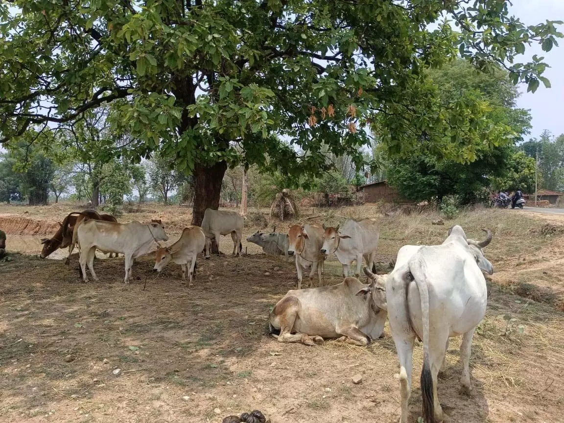 4608149-untitled-35-copy