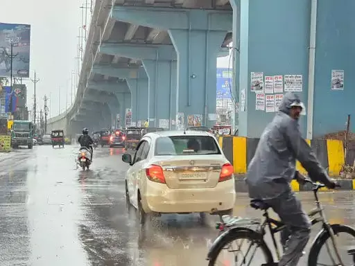 4617527-untitled-7-copy