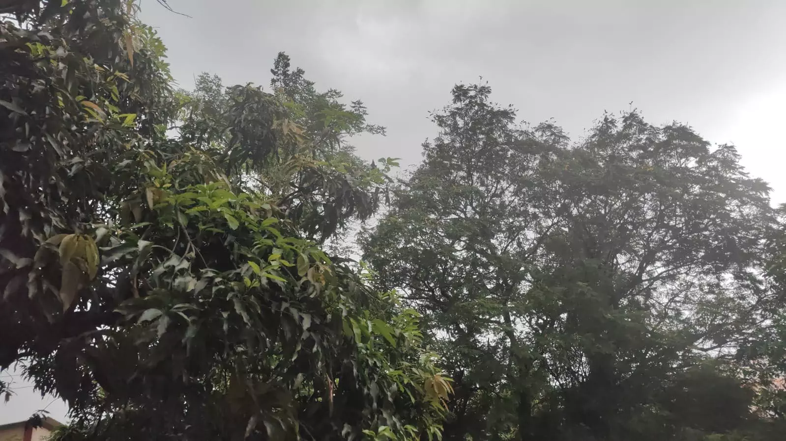 4626233-untitled-47-copy