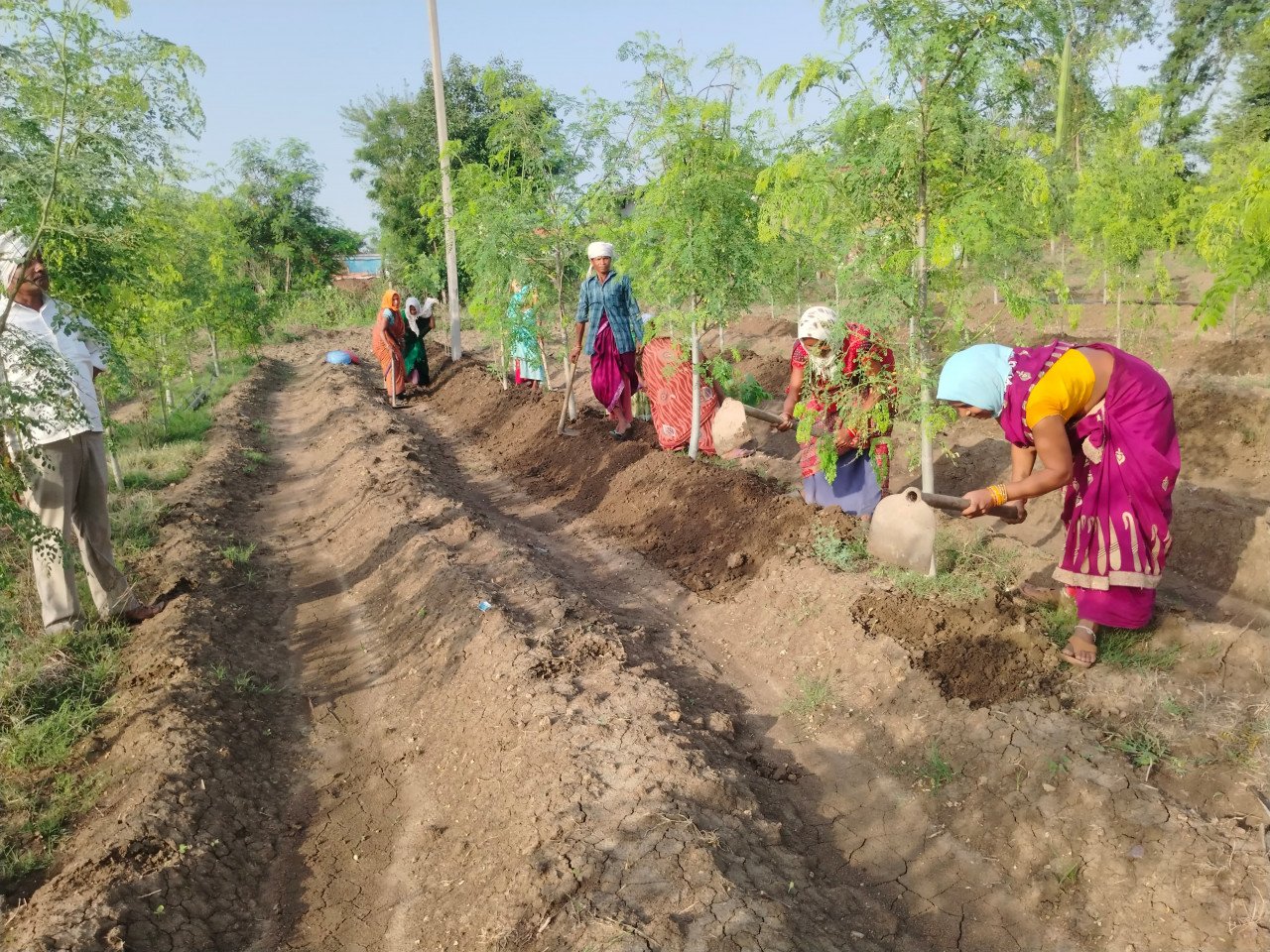 1749026267_41833a82680ab150964c