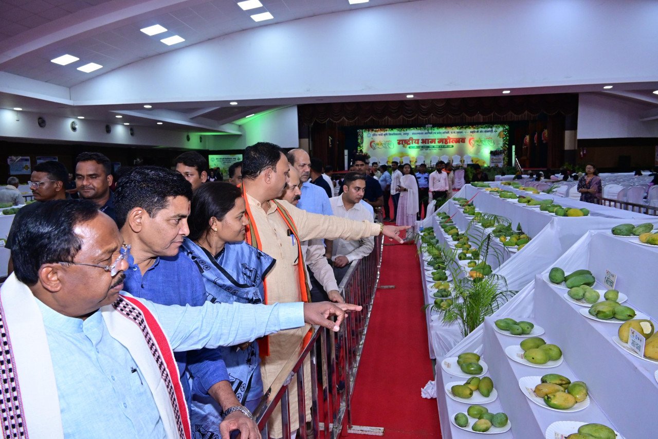 1749482799_416876c6b99cf854a057