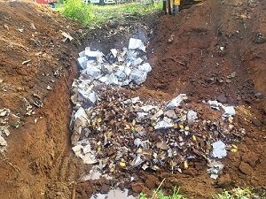 20250623114241_bbbbbb