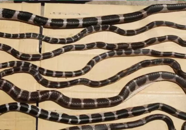 4657319-untitled-34-copy