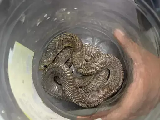 4659145-untitled-38-copy