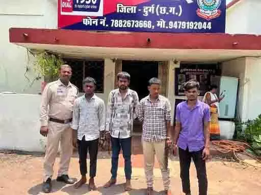 4661402-untitled-40-copy