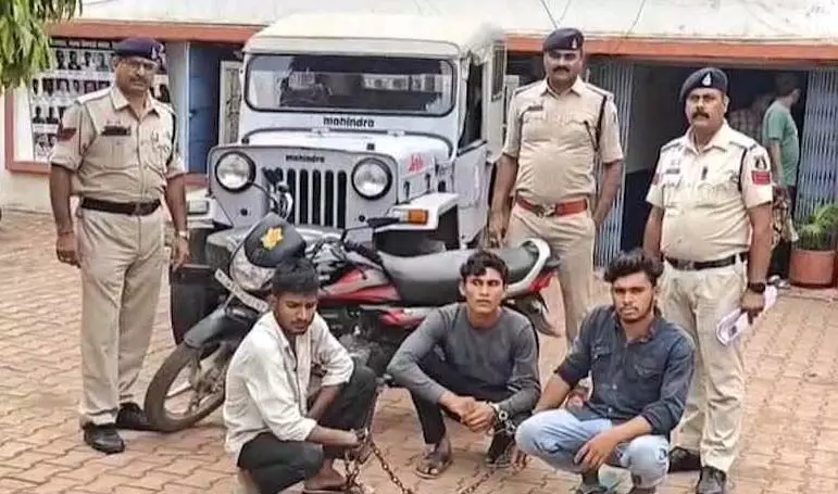 4684667-untitled-24-copy