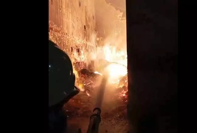 4702537-untitled-28-copy