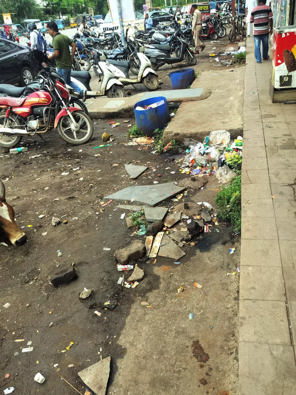 4705446-untitled-5-copy