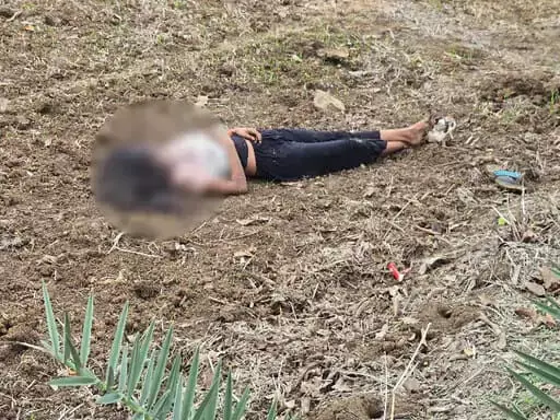 4705576-untitled-15-copy