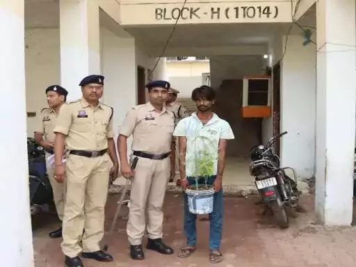 4707645-untitled-26-copy